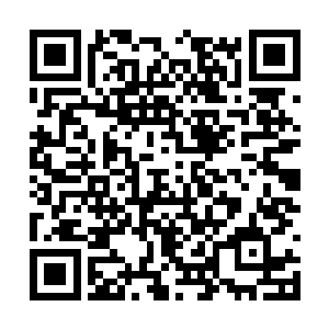 完全想象不到有人竟然敢直接对着他们的本家动手二维码生成
