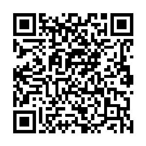 完全散发着一股狡诈外加看好戏的神色欣赏着眼前的战斗二维码生成
