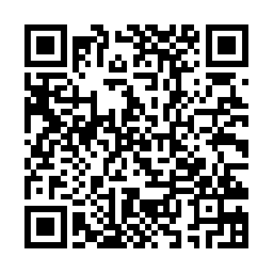 完全无视周围那几名不用问也知道是某某集团的老懂二维码生成