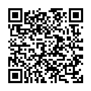 完全是两个超高水平球员之间强大的实力所产生的默契二维码生成