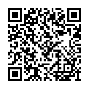 完全是以基础枪法和基础剑法的变化来对敌战斗二维码生成