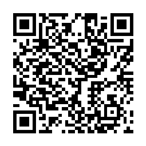 完全是因为他们在消灭天地大劫一事上做出的巨大贡献二维码生成