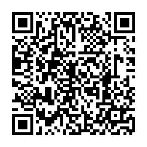 完全是因为他刚在一位西班牙大厨的指导下学会了做纯正的西班牙海鲜披萨二维码生成