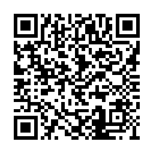 完全是因为他背后的家族发挥着强大的震慑力量二维码生成