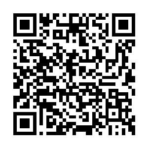 完全是因为见到众人攻击禁地的大阵才会这样的二维码生成