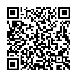 完全是将这个角色的牙尖嘴利发挥得更加立体了二维码生成