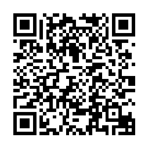 完全是有阵法高手将这个护法大阵做了一点点修补……二维码生成