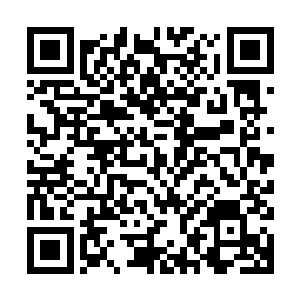 完全是浪费了朱家弟子之中的一个拜入大地骑士门墙的宝贵名额二维码生成