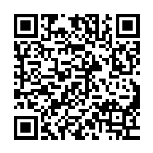 完全有可能在美食嘉年华开始的时候就先行冲上高级烹饪技能二维码生成