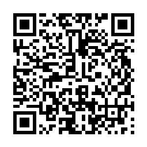 完全没有人流溢那位天才弟子的际遇是如何的凄惨二维码生成