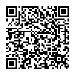 完全没有人相信书籍持有者最终交换的目的其实紧紧是为了一点法比亚二维码生成