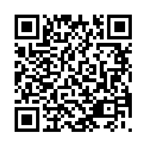 完全没有因为随时会被战火波及的恐慌二维码生成