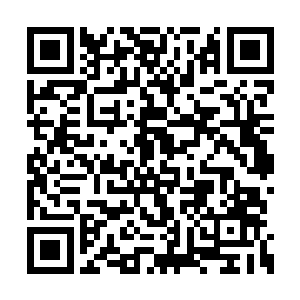 完全没有注意到机器猫的一只眼睛在悄悄的转动二维码生成