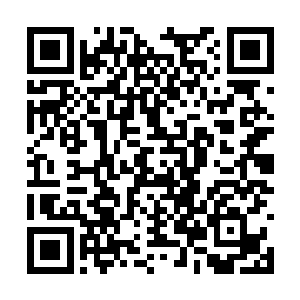 完全没有注意到远处目瞪口呆看着这一幕的方诗诗二维码生成