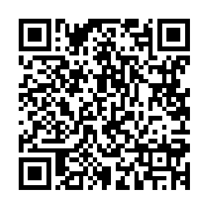 完全没有眼下这种决斗来的刺激……也只有这样强有力的刺激二维码生成