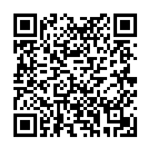 完全没有预料到石青锋居然修成了这等犀利的身法二维码生成