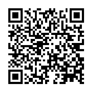 完全没理解到主裁判当时急促的哨音是怎么回事儿二维码生成