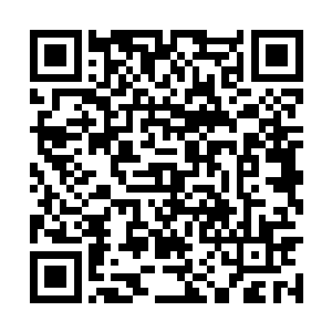 完全激发出返祖之力将罗汉金身也刺激到最强状态二维码生成