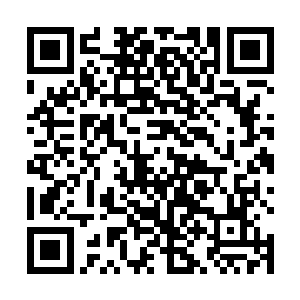 完全的少女……所以刚才他们的恋爱情节是在阐述什么二维码生成