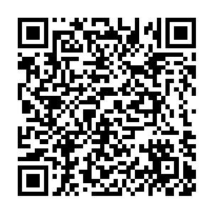 完全超过逻辑计算范畴了――以阿尔法为首的机器人不约而同的想二维码生成