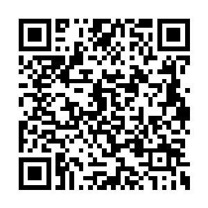 完全都是电视中的情景和现实根本搭不上一点边二维码生成