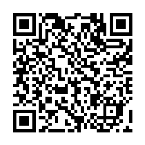 完善这个意外收获的技术……至于具体是什么样的技术二维码生成