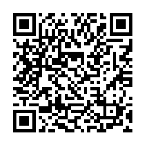 完完全全直接就是自己一个人制造了一个超级马蜂窝二维码生成