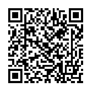 完成十三周连冠壮举过去才仅仅不到六个月时间二维码生成