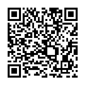 完成速度最快……只要玩家不贪恋任务世界里的享乐的话二维码生成