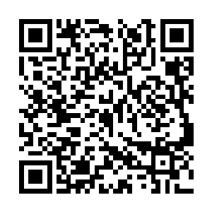 完整的测试清单应在实验前交付给所有执勤的人员二维码生成