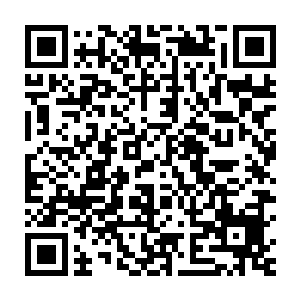 完美之躯的修者与受创真仙的较量成为这片天地中最为辉煌夺目的一战二维码生成