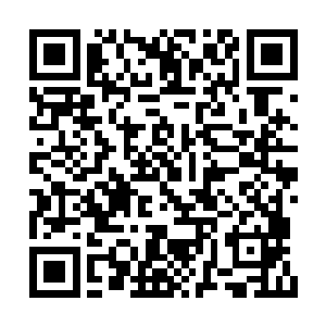 完美型构装体――是不是等价于超级仿真机器人二维码生成