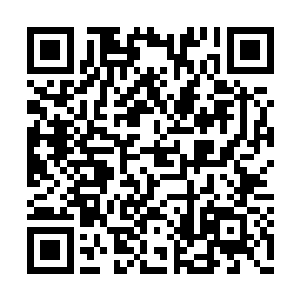 完美型构装体马克四十七丢失了重要的记忆芯片二维码生成