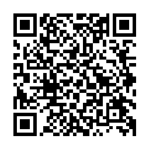 完美的电影就是你不惜一切代价也要留下自己中意的每个镜头二维码生成
