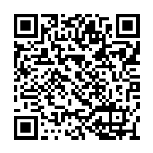 完蛋了……这回完蛋蛋了……卿卿姐也住进来了二维码生成