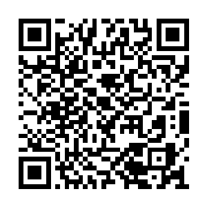 宏王府前的地都快被络绎不绝前来拜访的人踩塌二维码生成