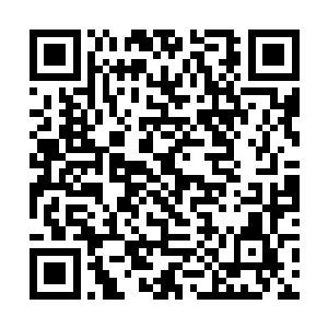 宗人府原本想要将寿宁大长公主直接圈禁在宗人府的二维码生成