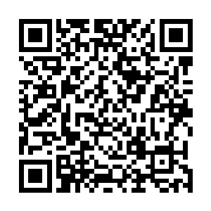 宗人远前面生了六个女儿晚年得子自然对宗东城无比宠溺二维码生成