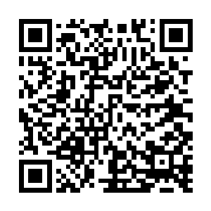 宗内族人就可以将你们的势力分布向着整个苍茫大陆公布二维码生成