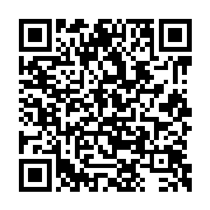 宗太平他们四个家伙这一次可以说是吃尽了苦头二维码生成