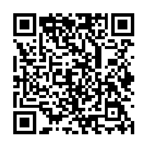 宗派学院会提供非常多的丹药与经验助其静神培念二维码生成