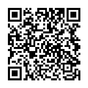 宗翰和娄室就没打着沿着山间道路侧击鄜延军的盘算二维码生成