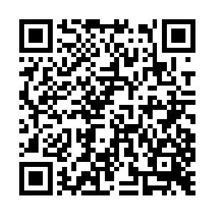 宗翰的天纵之才与强势态度弥补了这一部分的缺陷二维码生成