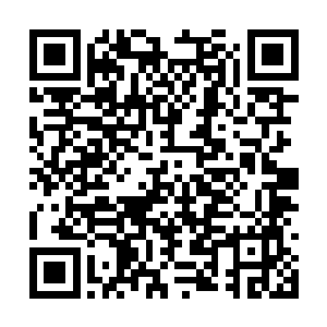 宗识冰与雷龙阔两个异人翰林双目中隐隐有淡红色二维码生成