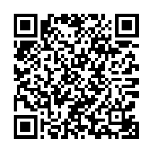 宗门内部的修士进进出出还要将山门处的阵法打开一条缝二维码生成