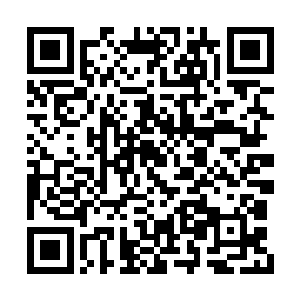 宗门有了镇宗的人物・整个青火宗都恢复了信心二维码生成
