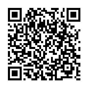 宗门都要在近短的时间内再出现一两位修神期的修士二维码生成