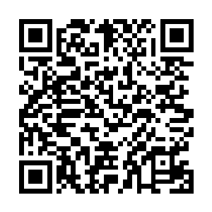 宗门里也是有相关知识的――他们有能力搜集大量的信息二维码生成