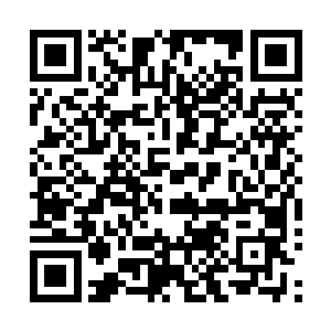 官儿大一些的多多少少猜到是不是有养寇自重的意思在里面二维码生成