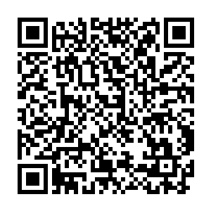 宙斯身上的创世神雷也跟焰所化的灭世天火一起形成了剧烈的雷火风暴二维码生成